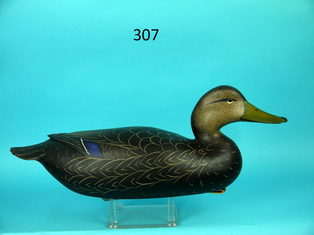 VERY FINE BLACK DUCK, B. WHITE: VERY FINE BLACK DUCK by Bob White, Tullytown, PA. Excellent original paint and condition. Hollow construction. Raised carved wing tips and carved fluted tail. Detailed painted feather work to back and