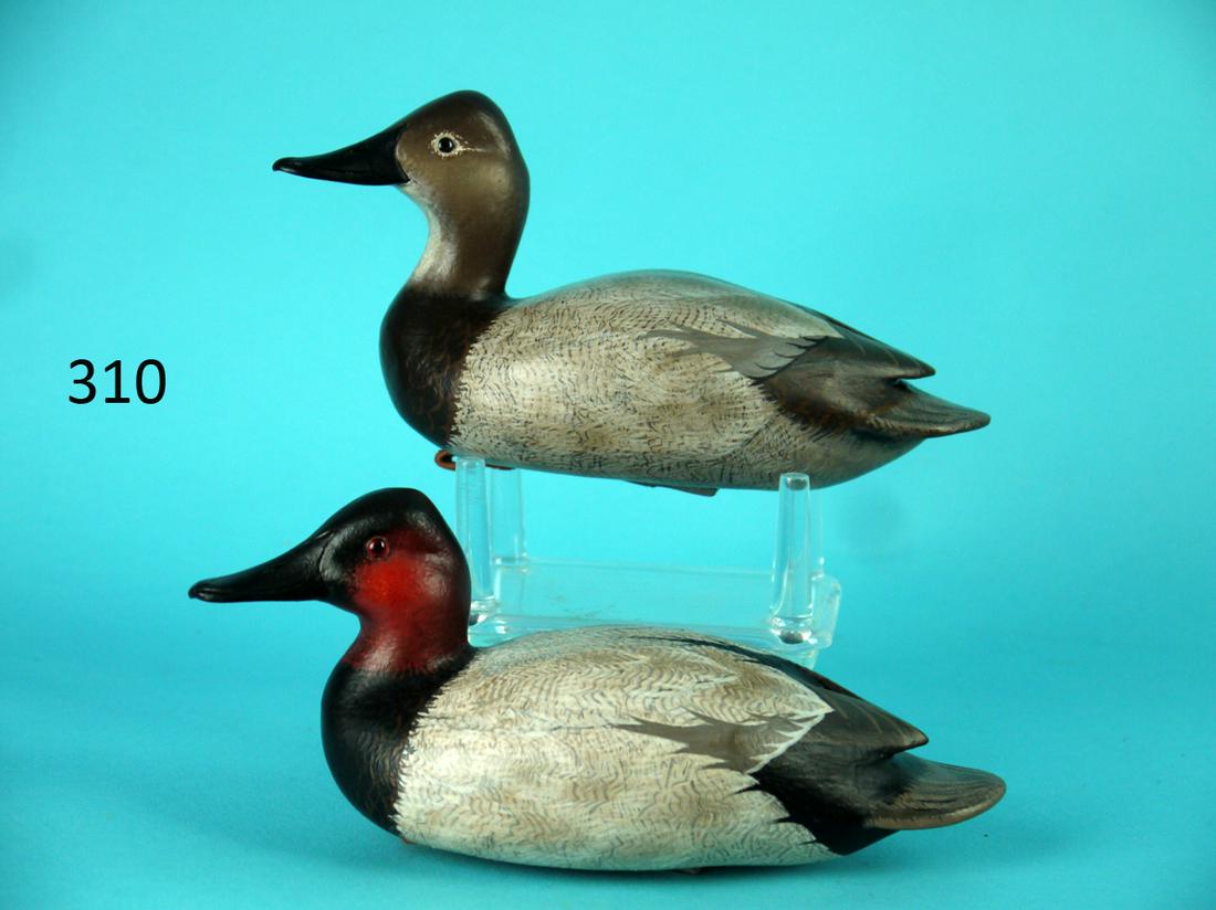 MINIATURE CANVASBACK PAIR, J. WOOD: OUTSTANDING PAIR OF MINIATURE CANVASBACKS by John Wood, Venice, FL. Excellent original paint and condition. Both with fine detailed comb painted feather work and painted feather detail overall. Both w