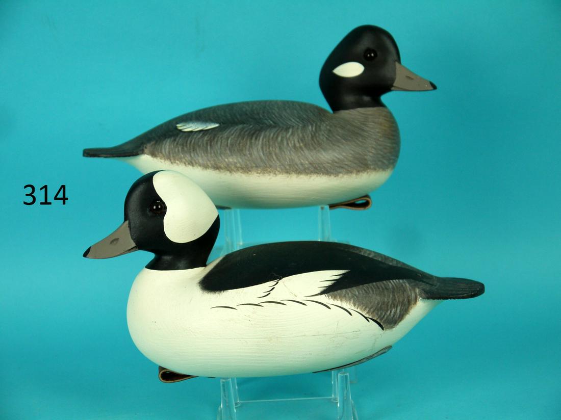 BUFFLEHEAD PAIR, F.C. BROWN, JR.: FINE EARLY PAIR OF BUFFLEHEADS by Fredrick C. Brown, Jr., Pt. Pleasant, NJ. Excellent original paint and unused condition. Hollow construction. Both with broad fluted tails. Hen with painted bar detai