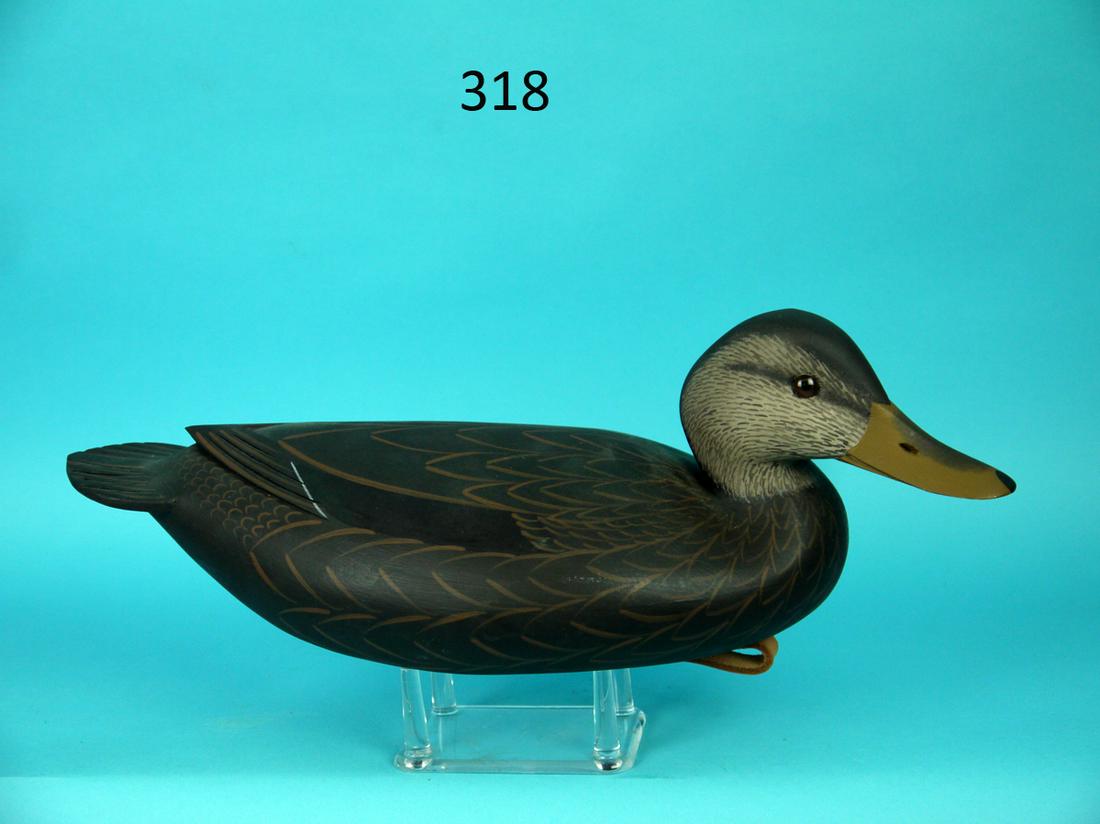 BLACK DUCK, F.C. BROWN, JR.: VERY FINE BLACK DUCK by Fredrick C. Brown, Jr., Pt. Pleasant, NJ. Excellent original paint and condition. Hollow construction. Carved in the Delaware River style with raised wing tips and fluted tail 