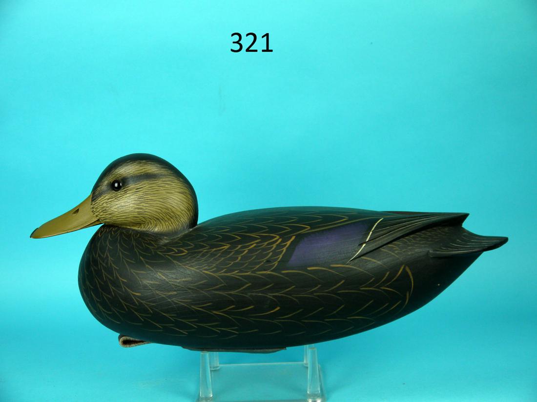 OVERSIZED BLACK DUCK, F.C. BROWN, JR.: OVERSIZED BLACK DUCK by Fredrick C. Brown, Jr., Pt. Pleasant, NJ. Excellent original paint and structural condition. Hollow construction, carved in the Delaware River style. Head exhibits fine paint t