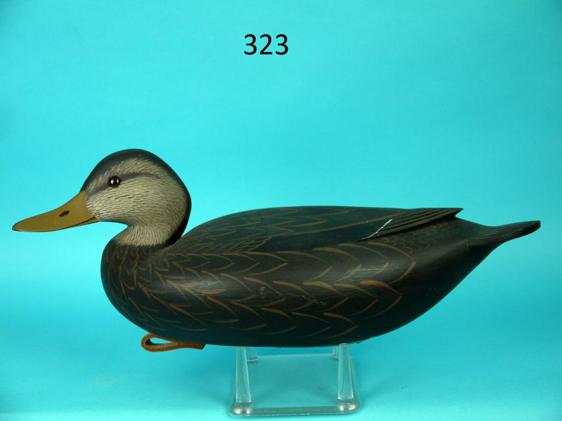 BLACK DUCK, F.C. BROWN, JR.: FINE BLACK DUCK by Fredrick C. Brown, Jr. Pt. Pleasant, NJ. Excellent original paint and unused condition. Hollow construction. Carved in the Delaware River style. Detailed feather painting to sides, 