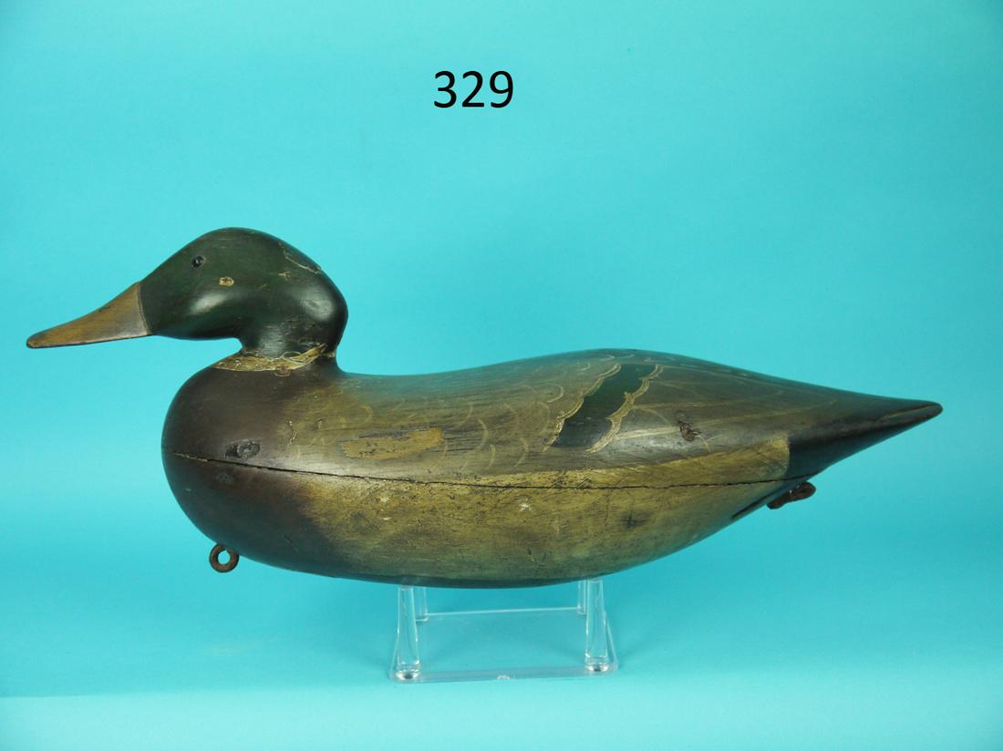 OVERSIZED MALLARD DRAKE, PHILADELPHIA SCHOOL: OVERSIZED MALLARD DRAKE, Philadelphia School. Fine restored condition by Bob Seabrook. Two minor areas of wood loss near tail. Hollow construction. Detailed painted feather work overall. Carved wing t