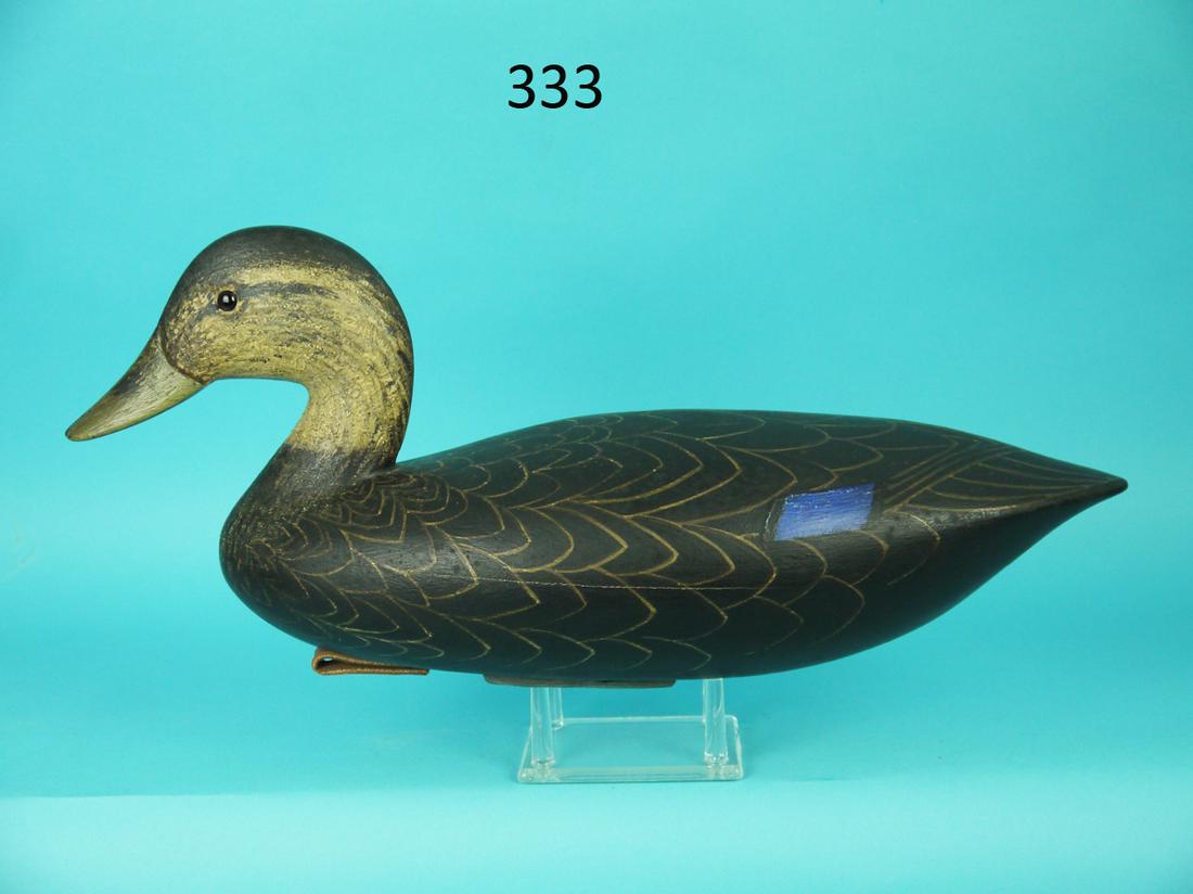 BLACK DUCK, B. BROWN: FINE BLACK DUCK by Bob Brown, Barnegat, NJ. Excellent original paint and unused condition. Semi-high head carving with painted feather detail overall. Hollow construction. Strong speculum paint detail