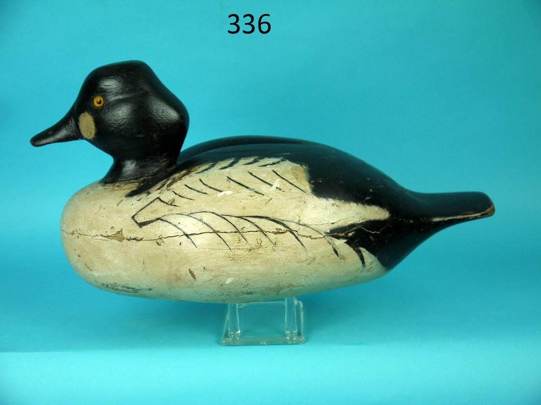 GOLDENEYE DRAKE, MICHIGAN: GOLDENEYE DRAKE, probably Michigan. Good original paint with some rubs from use. Very good structural condition. Hollow construction. Retains glass eyes and pad weight. Overall length is approximately