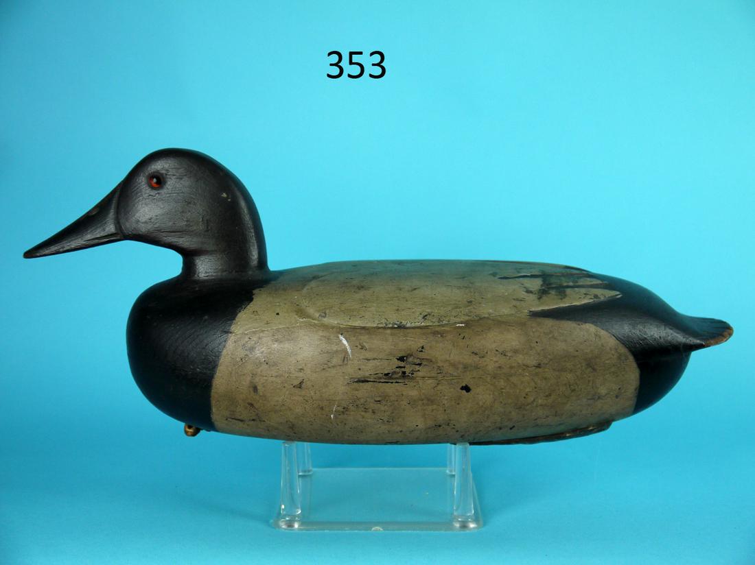 CANVASBACK DRAKE, P. GREEN: VERY FINE CANVASBACK DRAKE by Paul Green, Yardville Heights, PA, circa 1904. Very good original paint with some minor in-use rubs. Hollow construction. Relief-carved wing and feather detail. Fluted ta