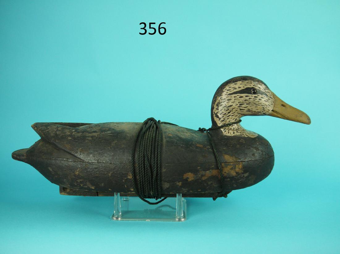 VERY EARLY BLACK DUCK, DELAWARE RIVER (0356) on Jun 26, 2022 Frank