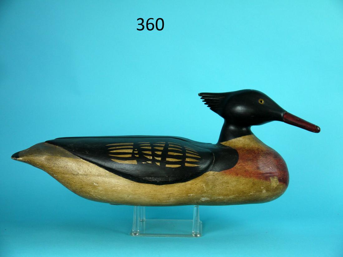 RED-BREASTED MERGANSER DRAKE, G. HARVEY: FINE RED-BREASTED MERGANSER DRAKE by George Harvey, Rumson, NJ. Very good original paint with some very minor crazing to breast and tail. Bottom with dark coat of wax. Very good structural condition. 