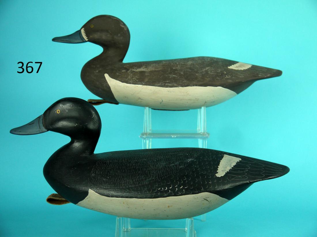 BROADBILL PAIR, BLAIR SCHOOL: PAIR OF BROADBILLS, Blair School. Appears to be original paint with very fine detailed paint ticking and feather detail to back and sides. Painted speculum detail. Stylized heads with painted bill det