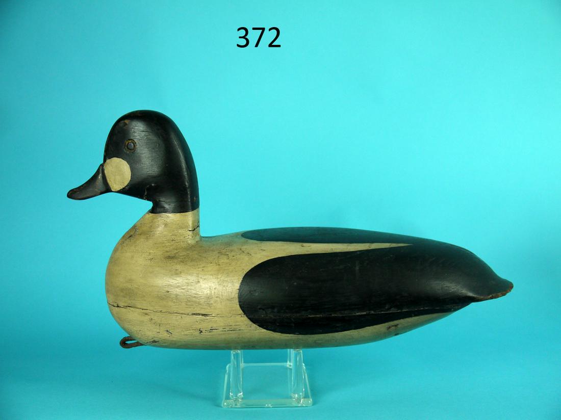 GOLDENEYE DRAKE, BARNEGAT BAY: EARLY GOLDENEYE DRAKE, probably Barnegat Bay. Appears to be original paint with some touch up. Good structural condition. Long check the length of bottom. Some very minor chips to tail tip. Carved eye