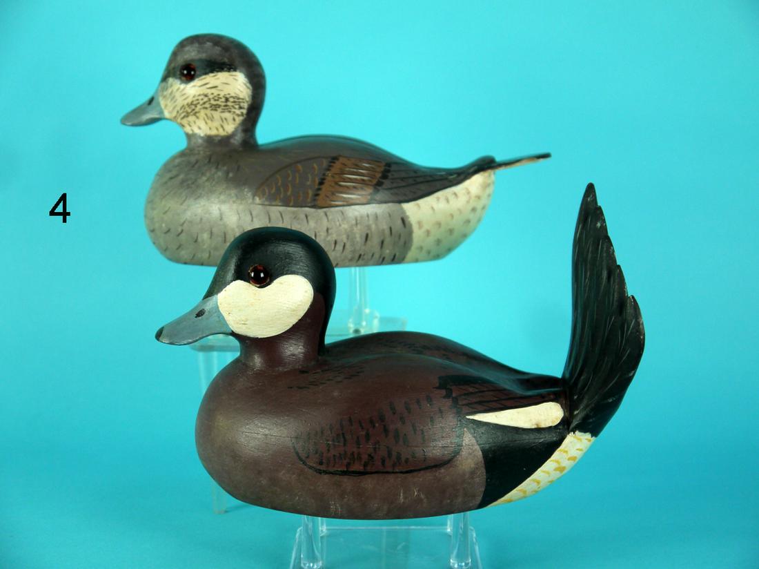 RUDDY DUCK PAIR, WILDFOWLER (1 of 4)