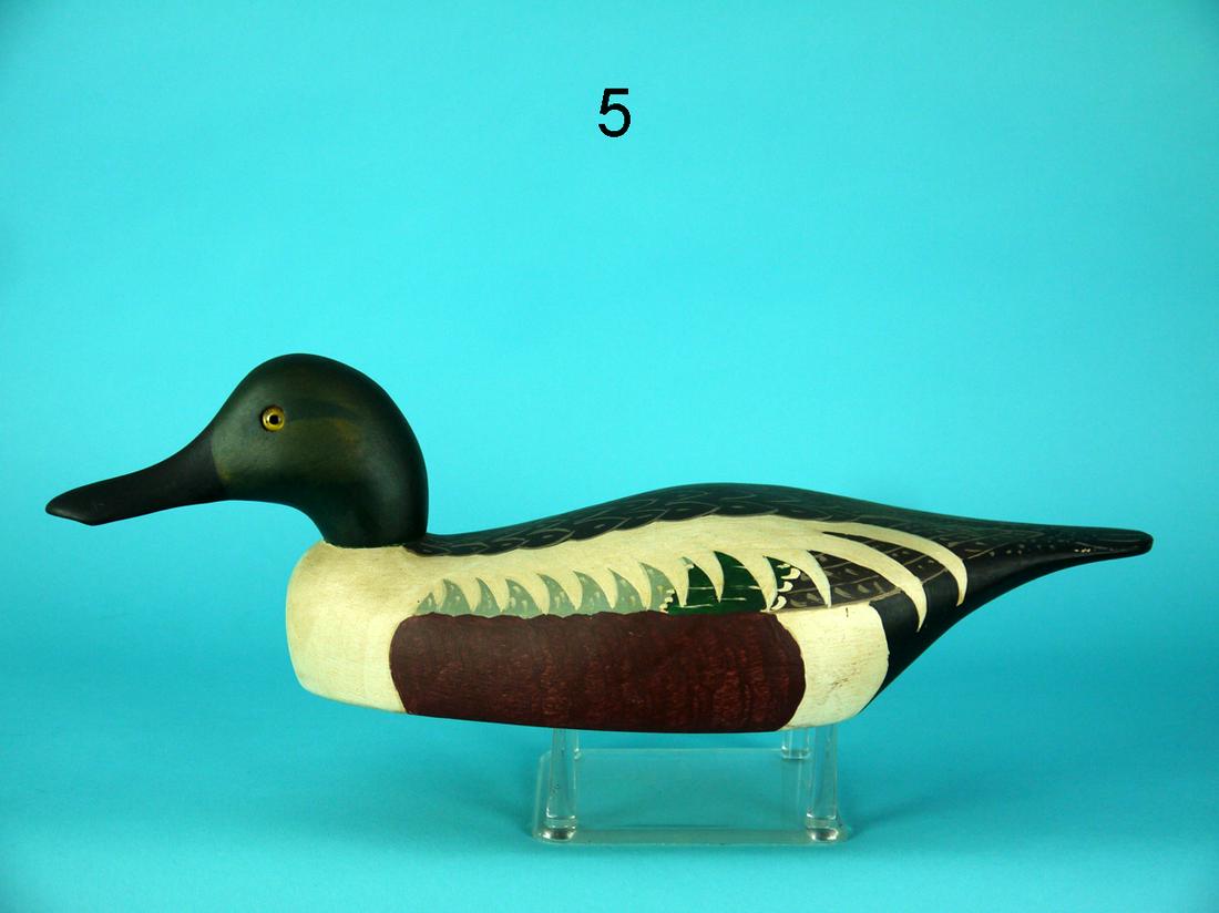 SHOVELER DRAKE, WILDFOWLER (1 of 4)