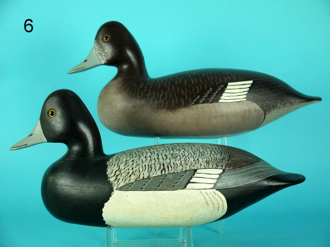 BROADBILL PAIR, WILDFOWLER (1 of 4)