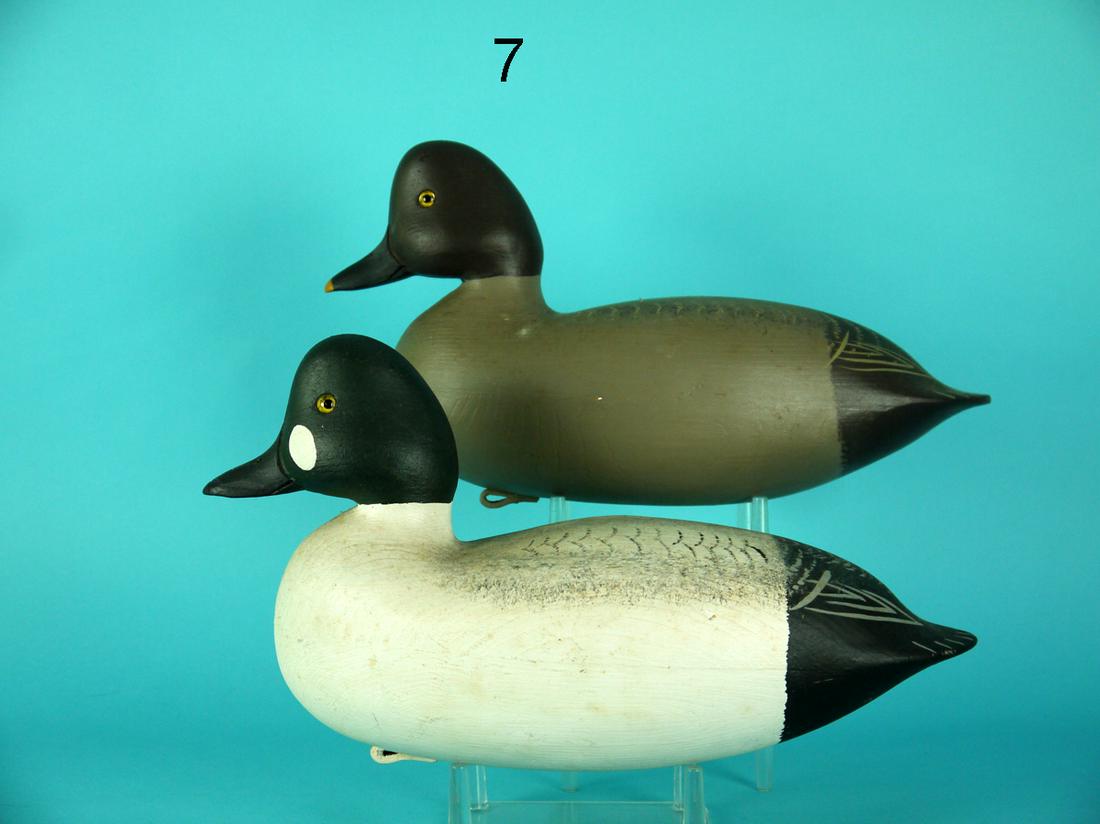 GOLDENEYE PAIR, C. BIRDSALL (1 of 4)