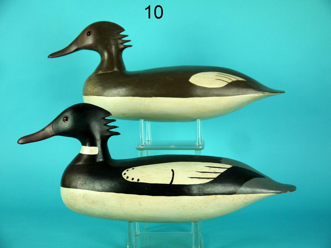 PAIR OF RED-BREASTED MERGANSERS, WILDFOWLER (1 of 4)