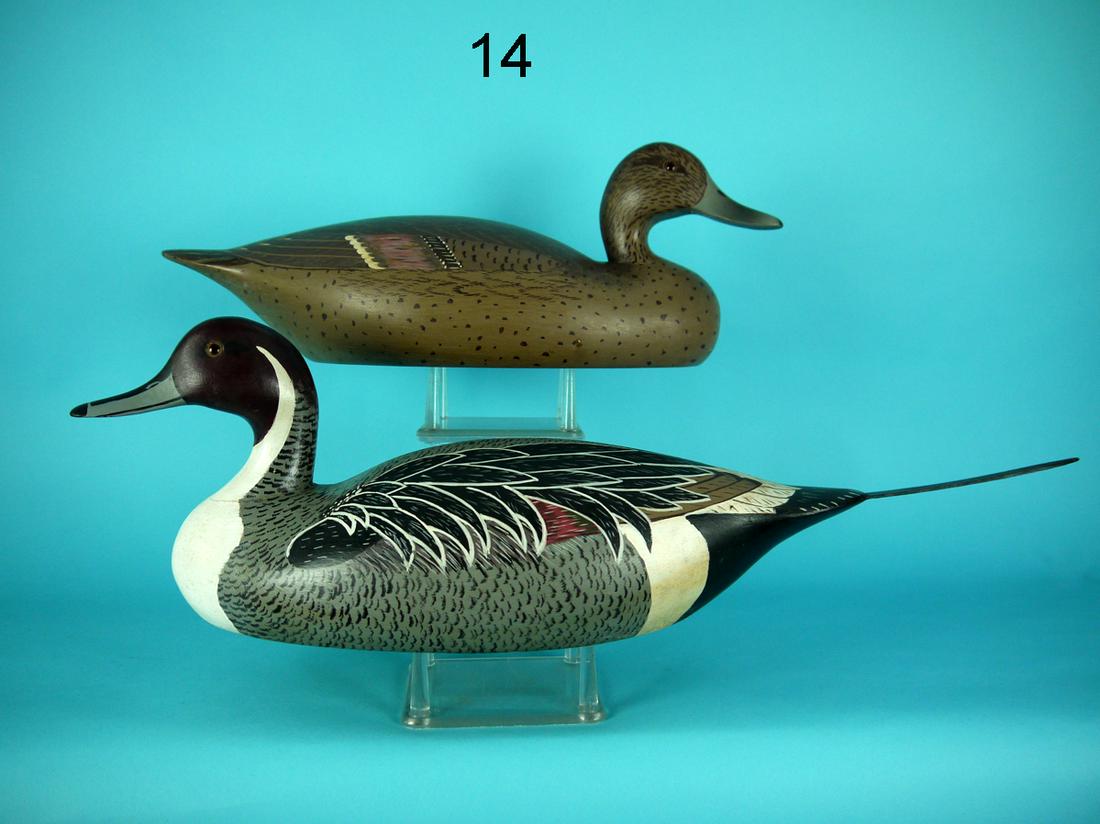 PINTAIL PAIR, WILDFOWLER (1 of 4)