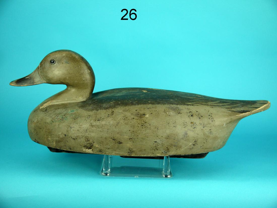 PINTAIL HEN, OLD SAYBROOK WILDFOWLER (1 of 4)