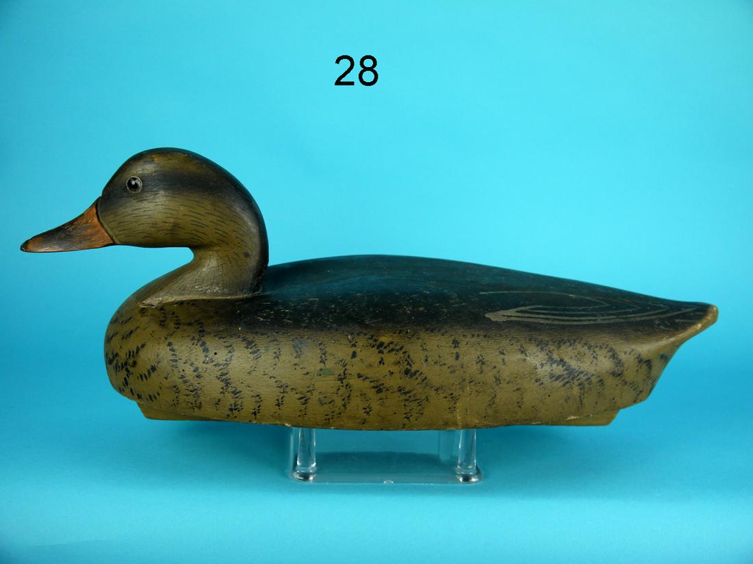 MALLARD HEN, OLD SAYBROOK WILDFOWLER (1 of 4)