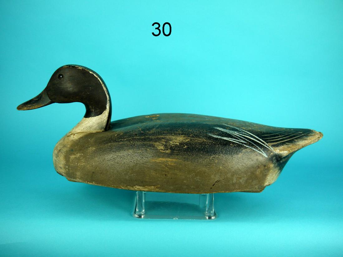 PINTAIL DRAKE, OLD SAYBROOK WILDFOWLER (1 of 4)