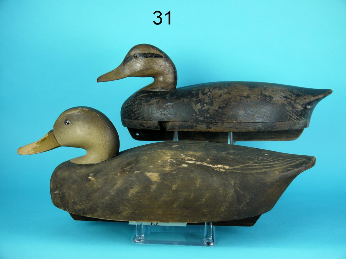 TWO BLACK DUCKS, WILDFOWLER (1 of 4)