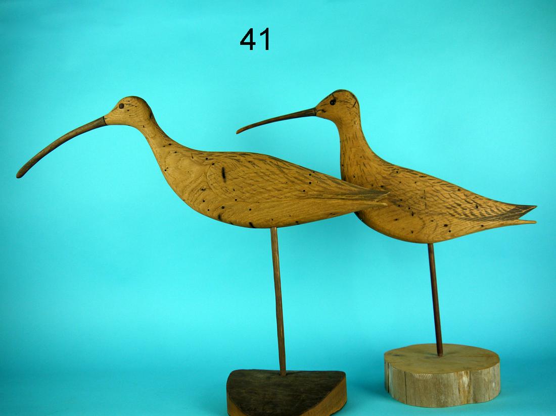 WHIMBREL, LONG BILLED CURLEW, A. HILLMAN (1 of 2)