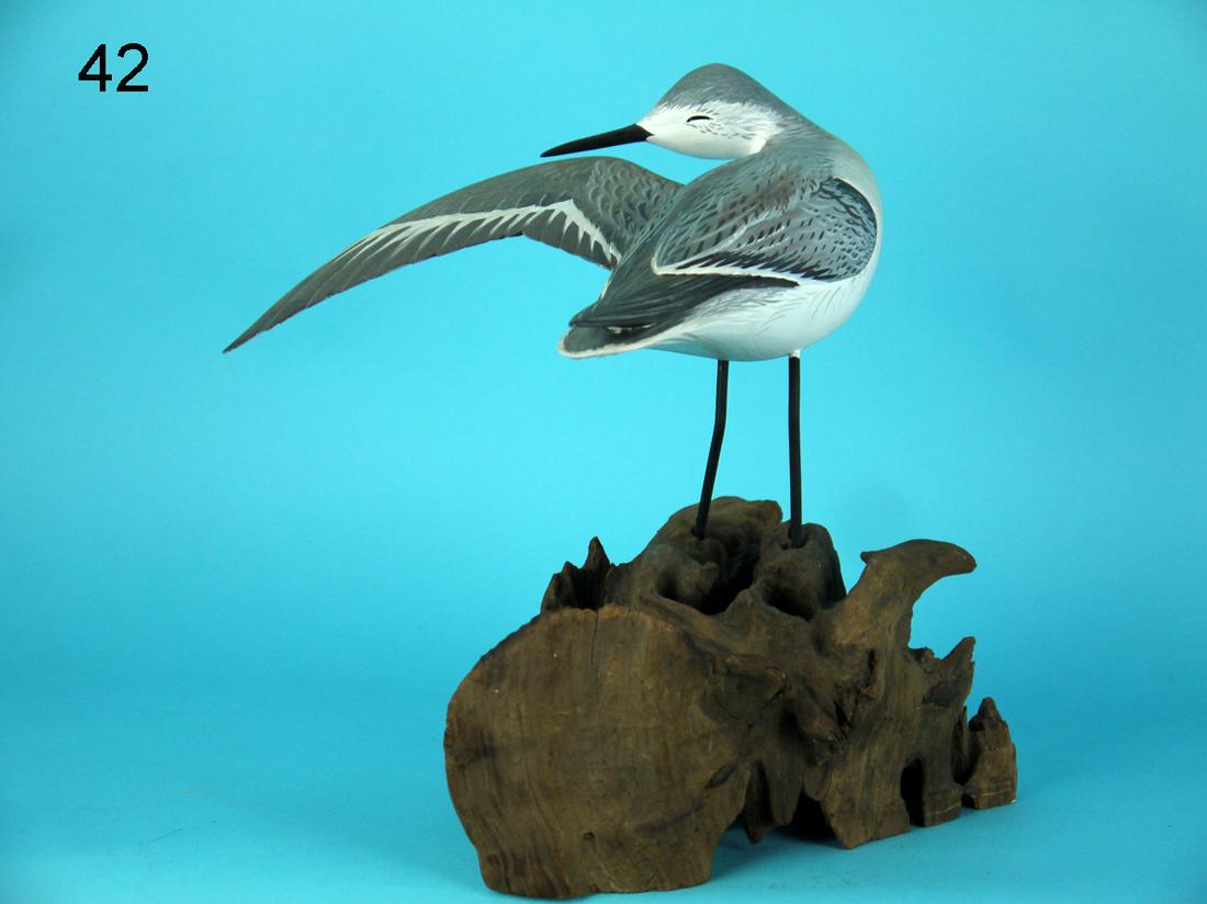 PREENING SANDERLING, A. HILLMAN: VERY FINE SANDERLING by Anthony Hillman, Cape May, NJ. Excellent original paint and structural condition. Detailed painted feather work to back, wings and head. One wing outstretched with head carved 