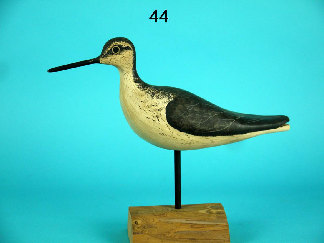 LESSER YELLOWLEGS, G. COOKE (1 of 2)