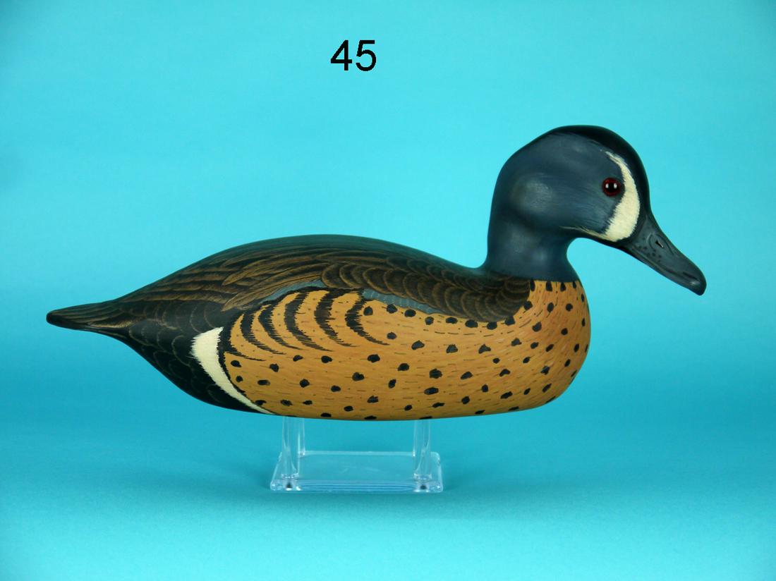 BLUE WING TEAL DRAKE, G. COOKE (1 of 4)