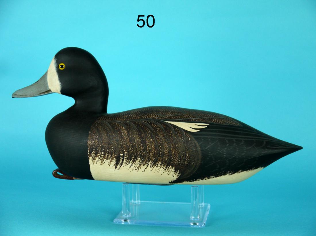 REDHEAD HEN, G. COOKE (1 of 4)