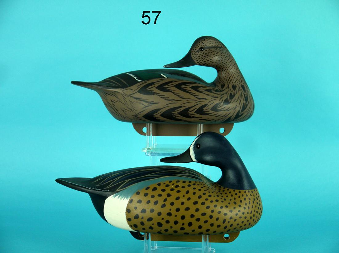BLUE WING TEAL PAIR, C. ALLSOP (1 of 4)