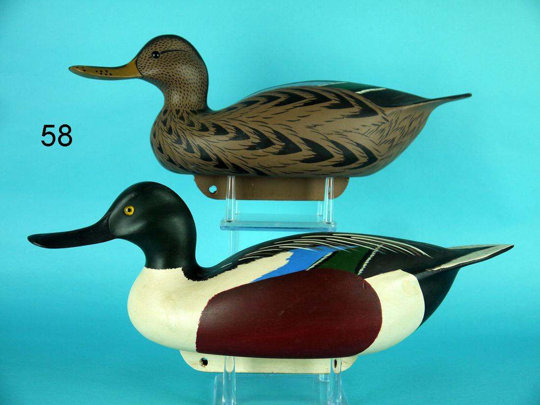 SHOVELLER PAIR, C. ALLSOP (1 of 4)