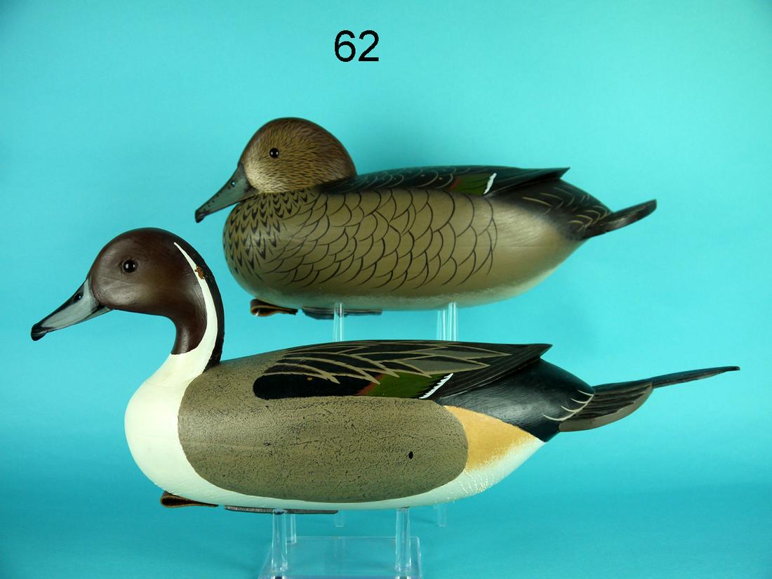 PINTAIL PAIR, J. HOLLOWAY (1 of 4)