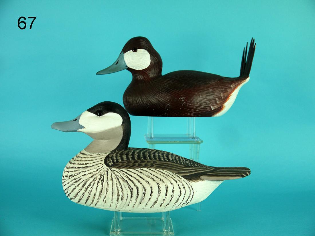 TWO RUDDY DUCKS, K. LOVELAND/WFR (1 of 4)