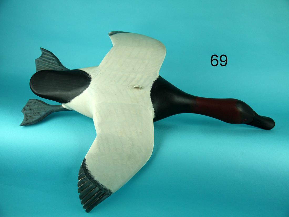 FLYING CANVASBACK DRAKE, UPPER BAY (1 of 2)