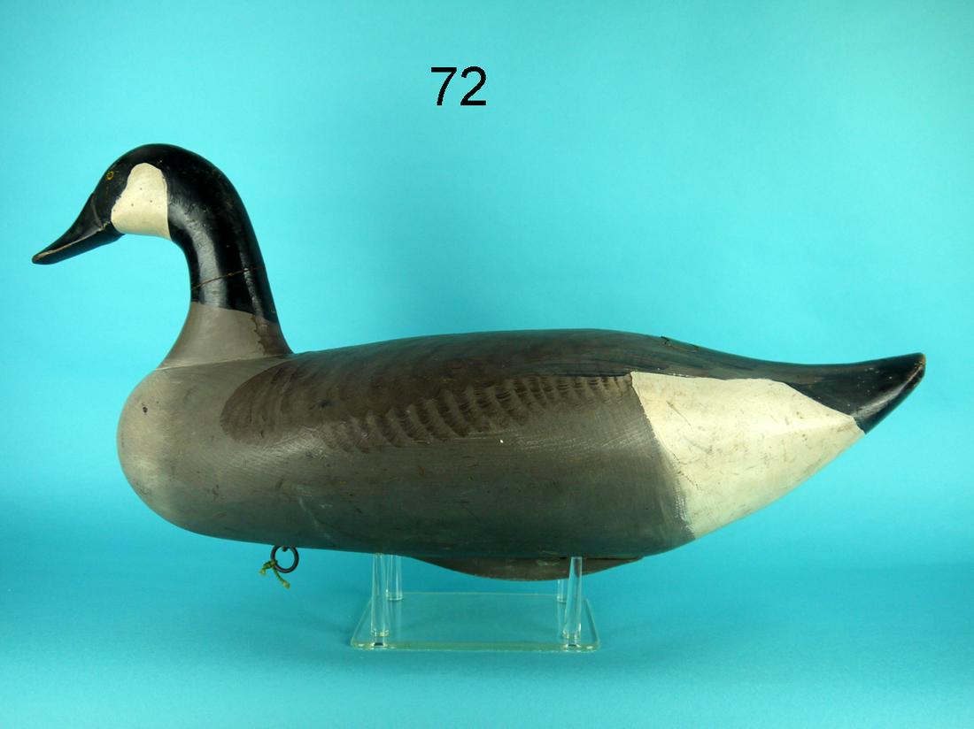 CANADA GOOSE, R. M. MITCHELL (1 of 4)