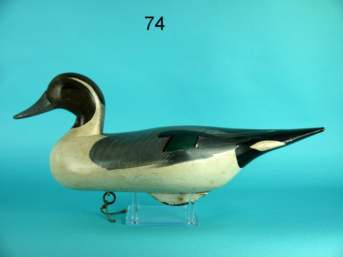 PINTAIL DRAKE, R.M. MITCHELL (1 of 4)