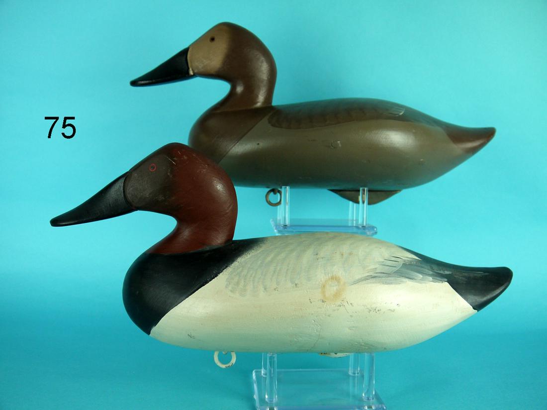 CANVASBACK PAIR, R.M. MITCHELL (1 of 4)