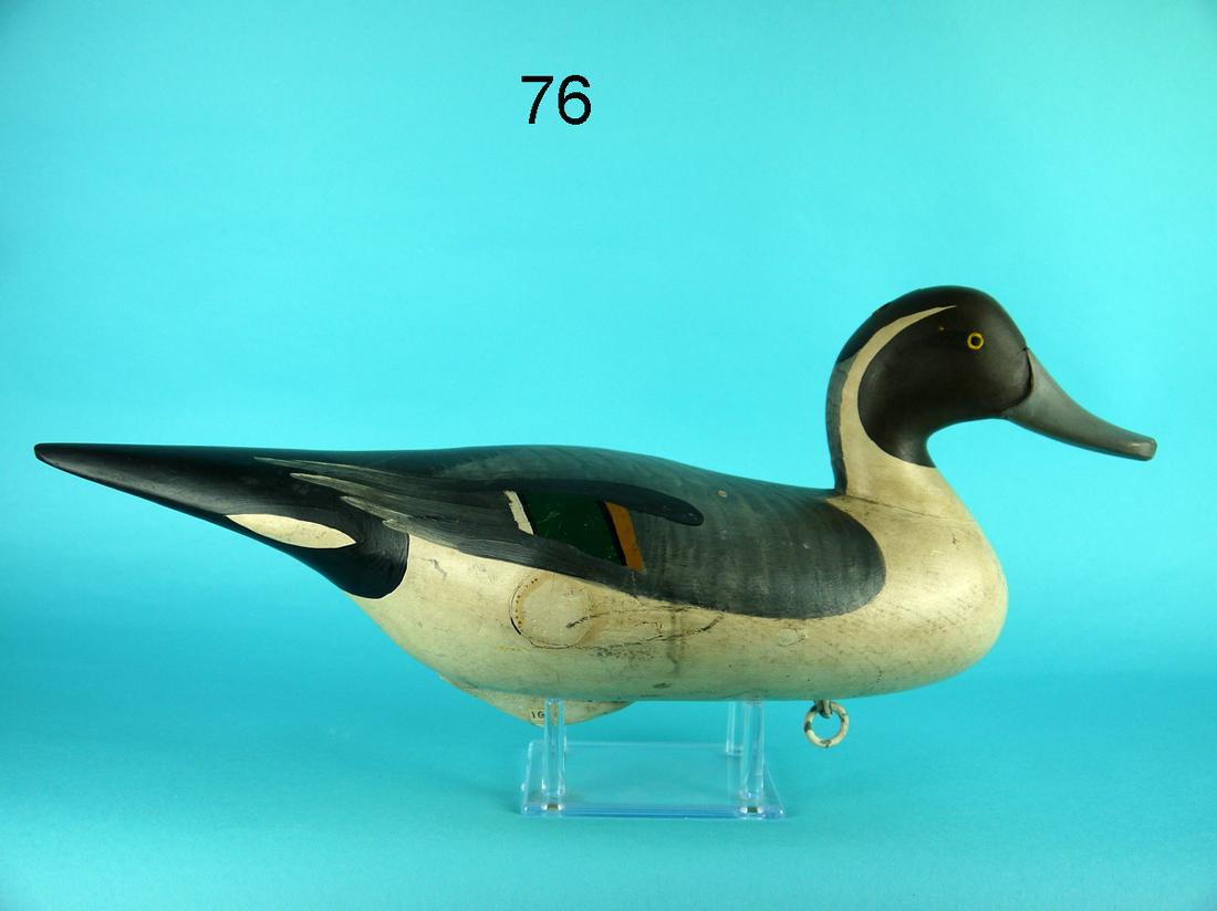 PINTAIL DRAKE, R.M. MITCHELL (1 of 4)
