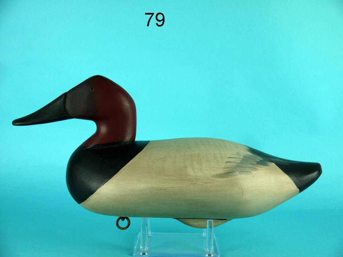 CANVASBACK DRAKE, L. PARKER (1 of 4)