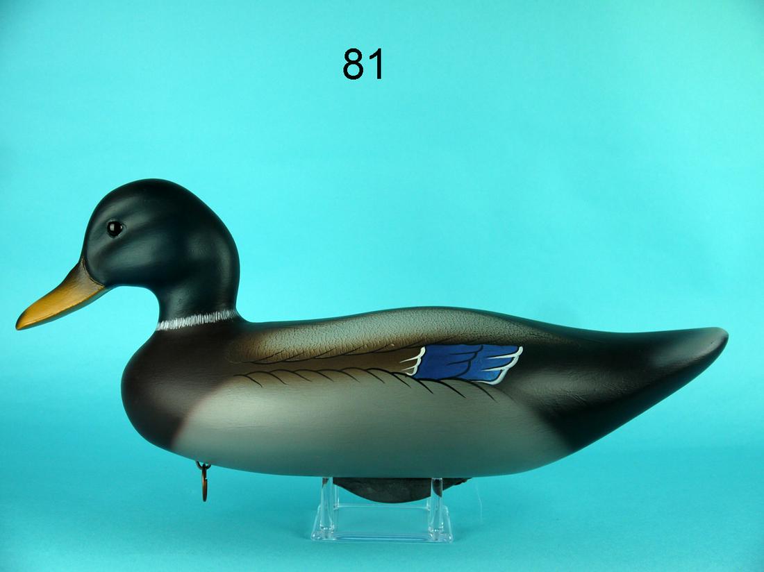 MALLARD DRAKE, J.L. COOK (1 of 4)