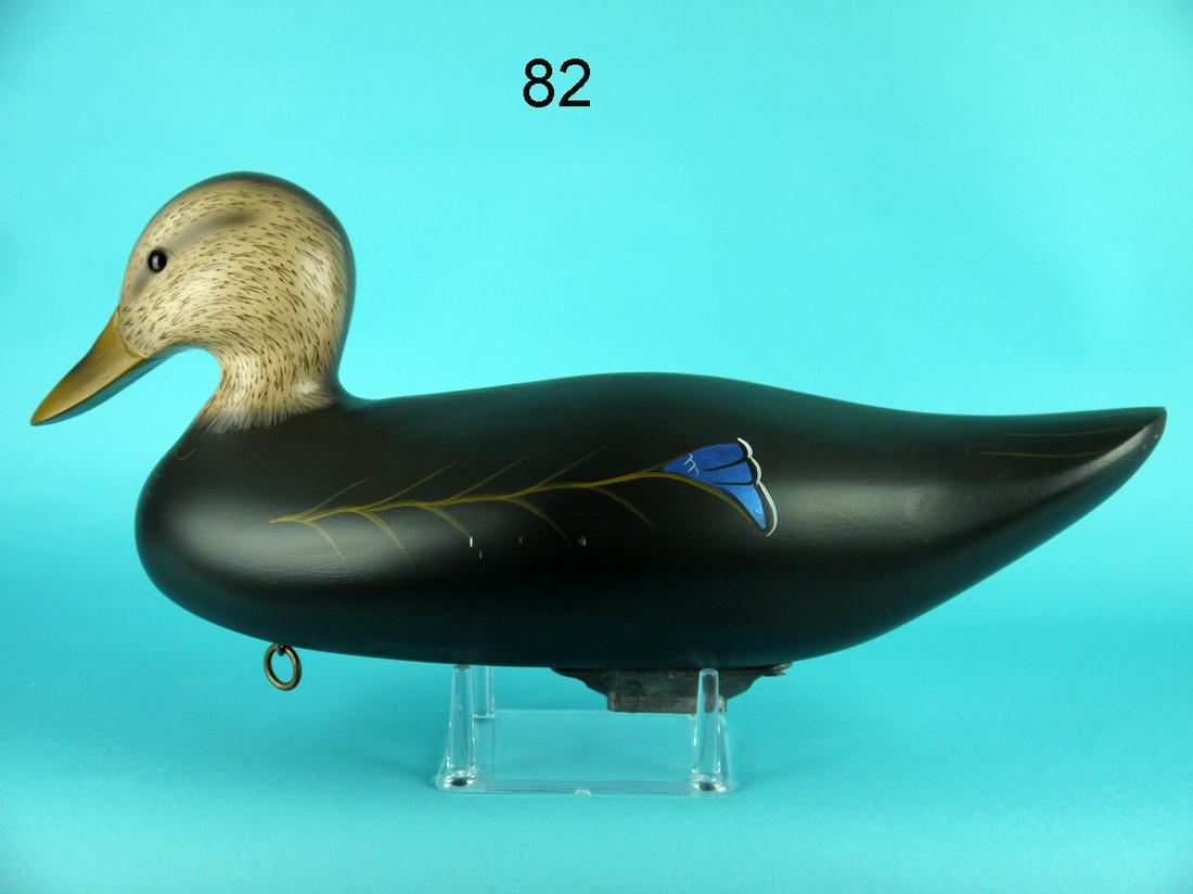 BLACK DUCK, J.L. COOK (1 of 4)