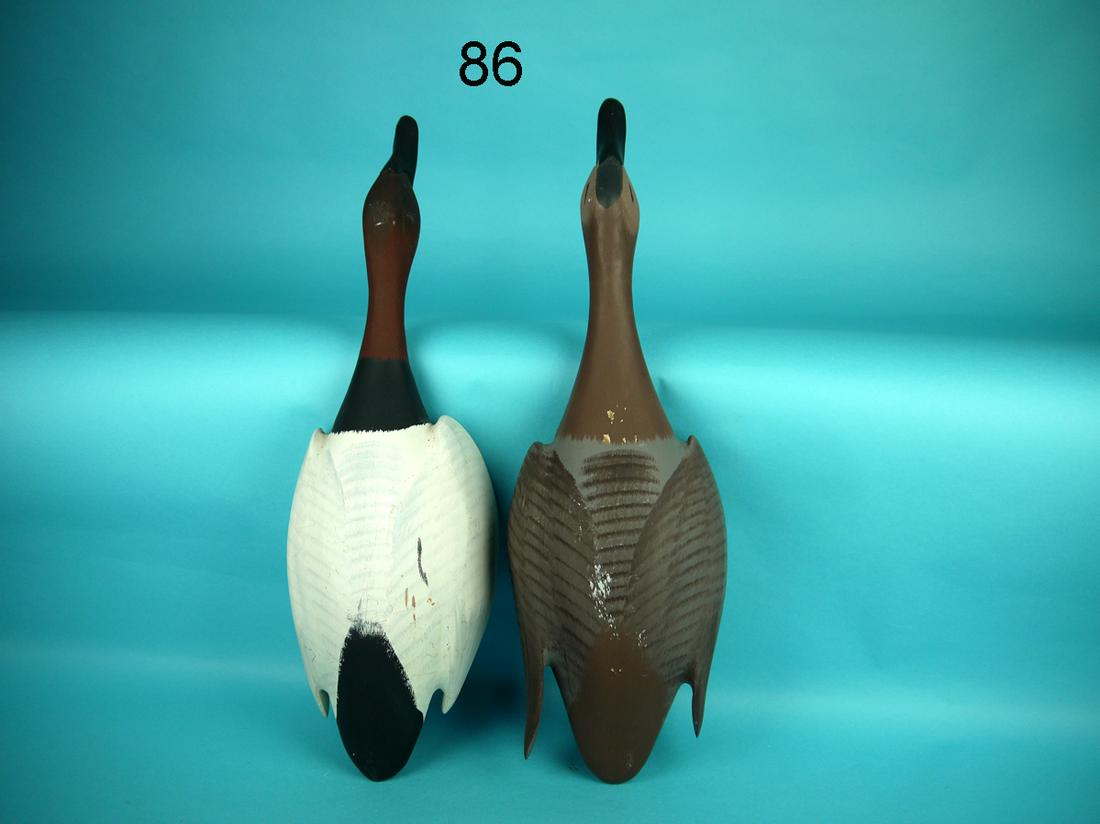 HANGING CANVASBACK PAIR, C. JOBES (1 of 2)