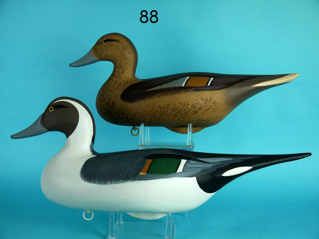 PINTAIL PAIR, B. JOBES (1 of 4)