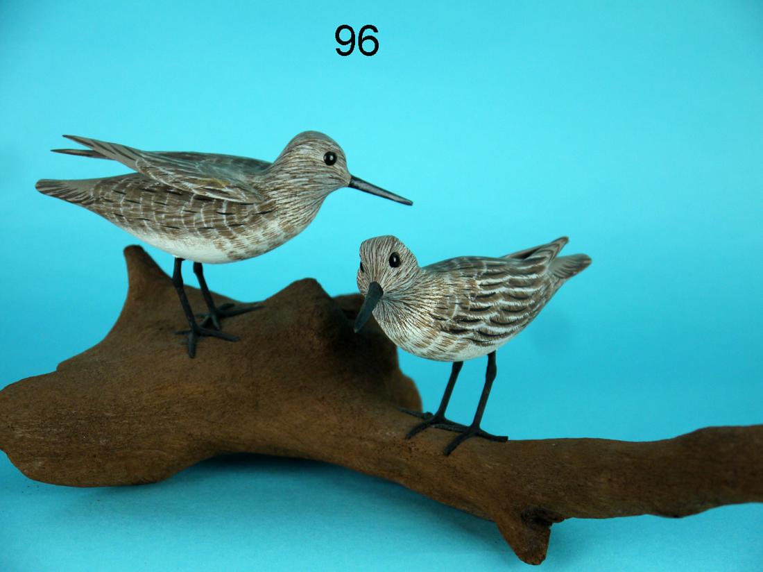 TWO SANDERLINGS, J. AND P. WATERFIELD (1 of 2)