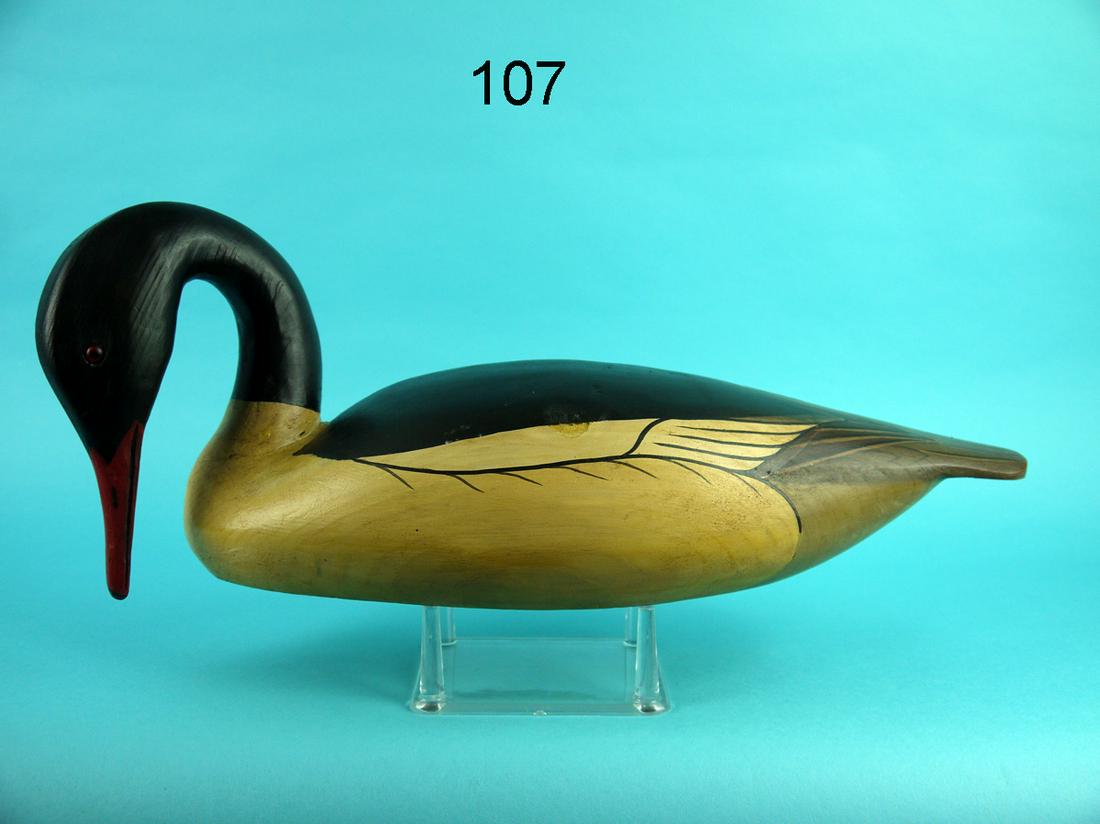 AMERICAN MERGANSER DRAKE, J.C. REED (1 of 4)