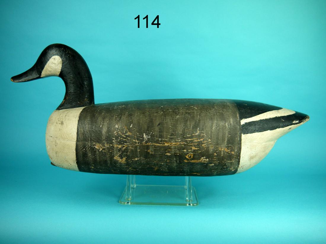 CANADA GOOSE, R. CORLISS (1 of 4)