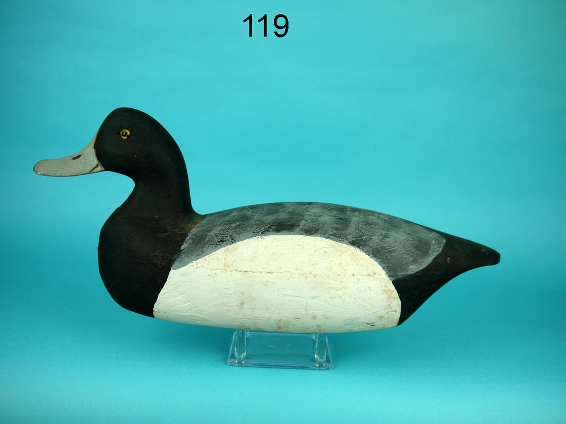 BLUEBILL DRAKE, P. WILBER: BLUEBILL DRAKE by Pete Wilber, Island Heights, NJ. Very good original paint and unused condition. Some minor shelf rubs to white areas. Hollow construction. Painted feathering to back. Retains glass e