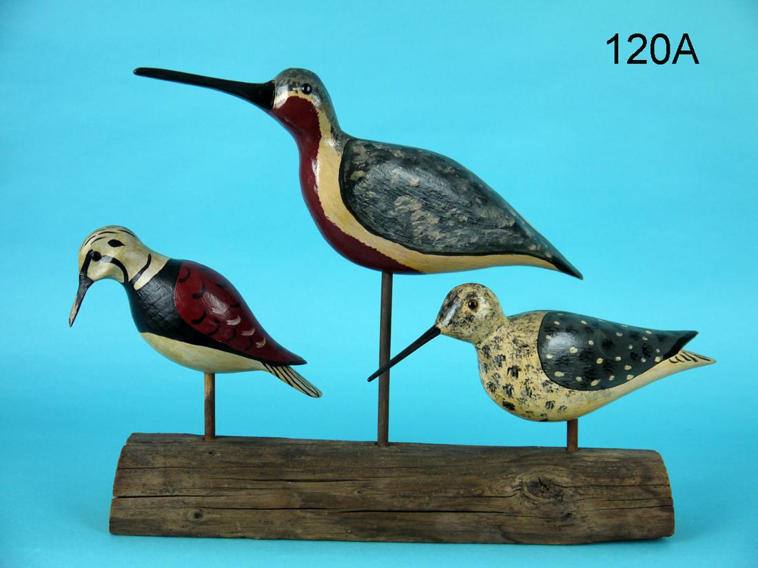 THREE SHOREBIRDS, C. SPRAGUE (1 of 4)
