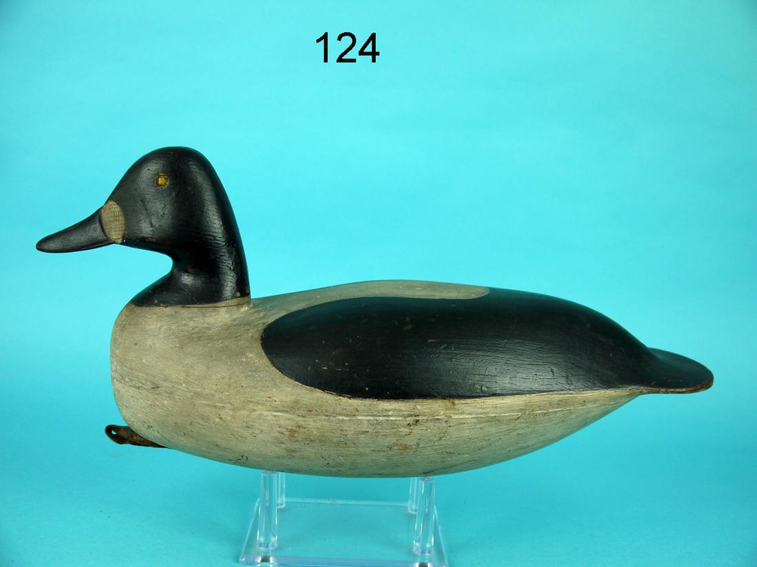 GOLDENEYE DRAKE, R. TRUEX (1 of 4)