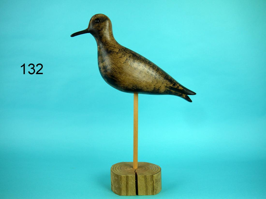 BLACK-BREASTED PLOVER (1 of 3)